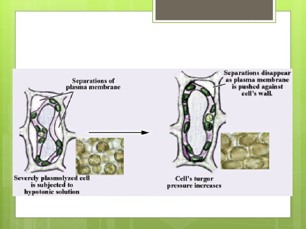 slide11