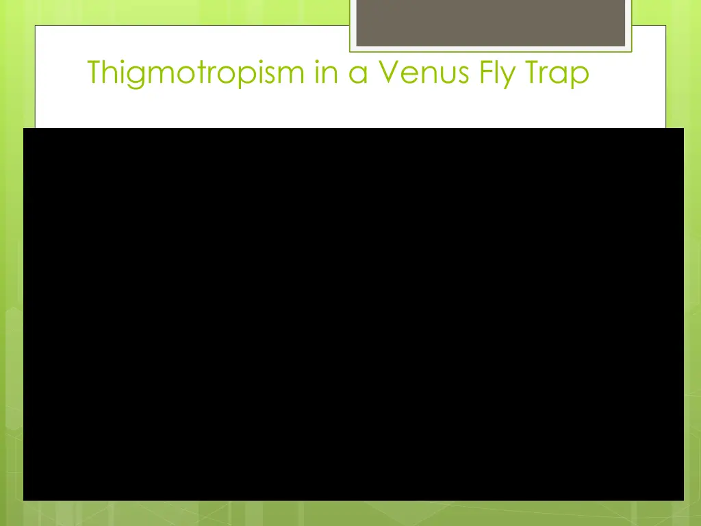 thigmotropism in a venus fly trap