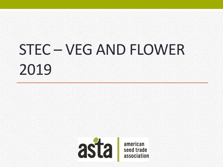 stec veg and flower 2019
