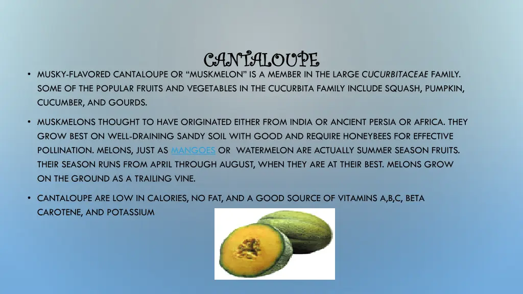 cantaloupe cantaloupe