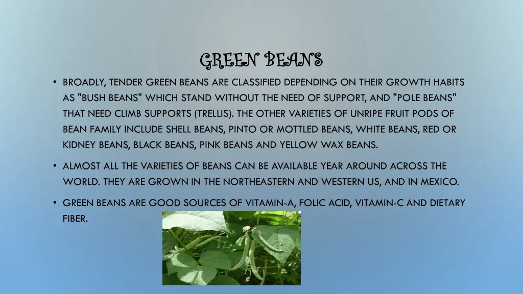 green beans green beans