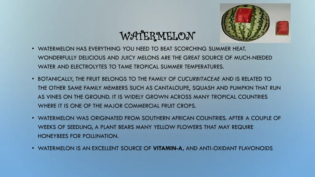 watermelon watermelon