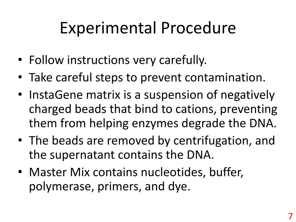 experimental procedure