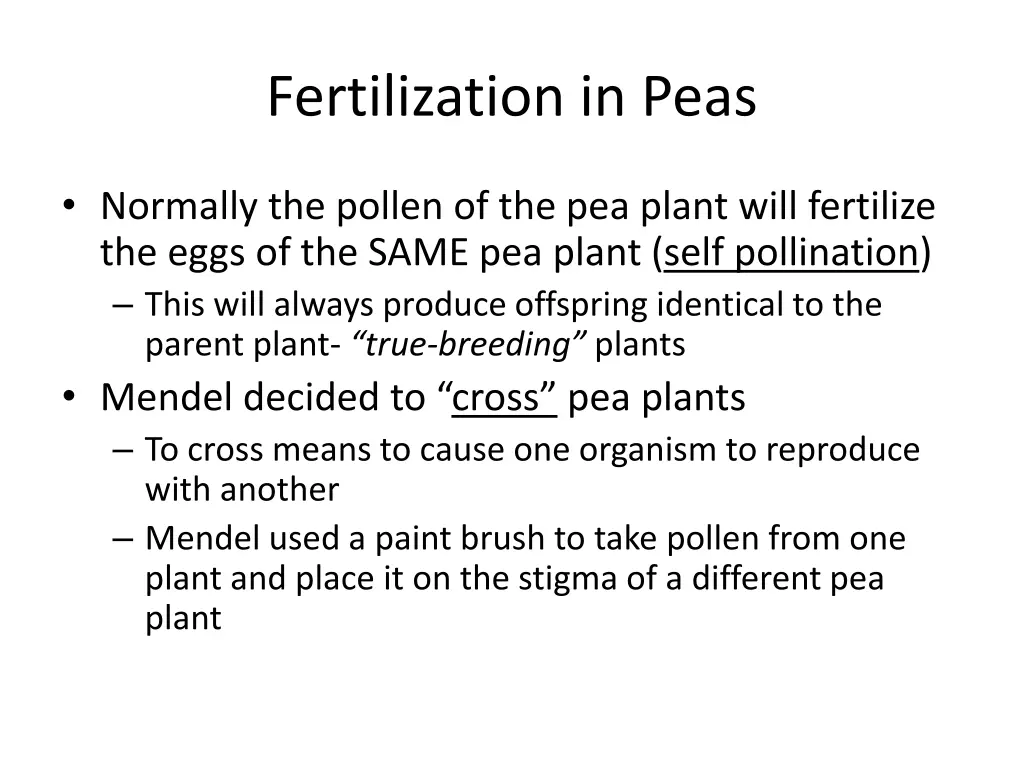 fertilization in peas