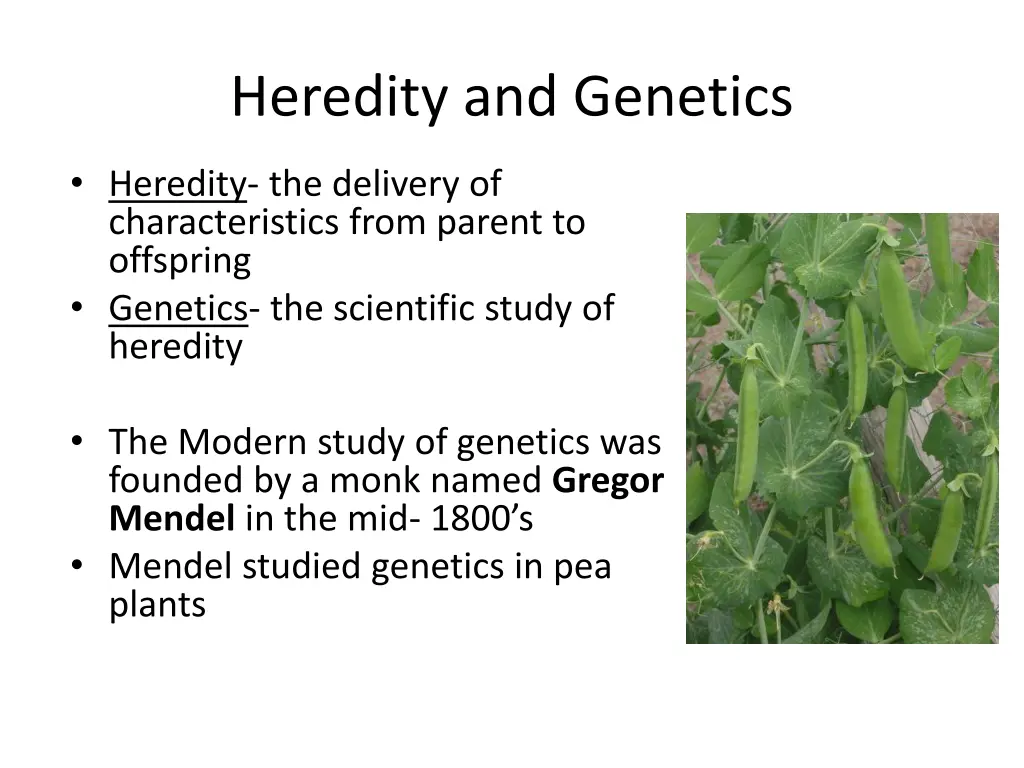 heredity and genetics