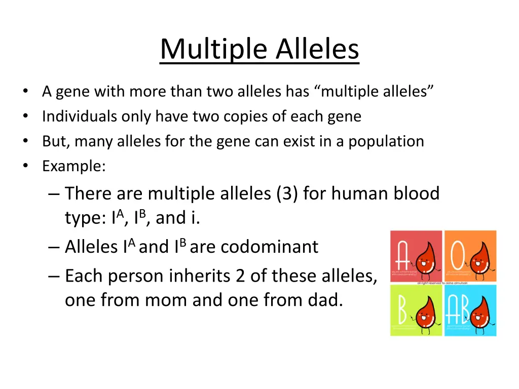 multiple alleles