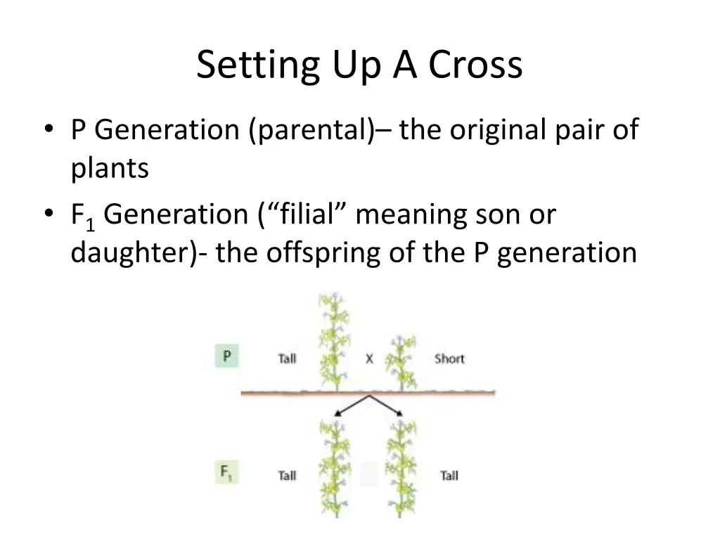 setting up a cross 1