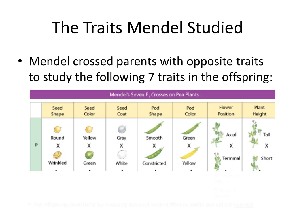 the traits mendel studied