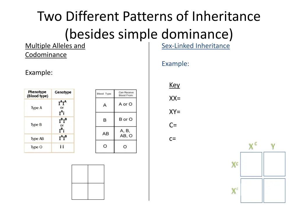 two different patterns of inheritance besides 1