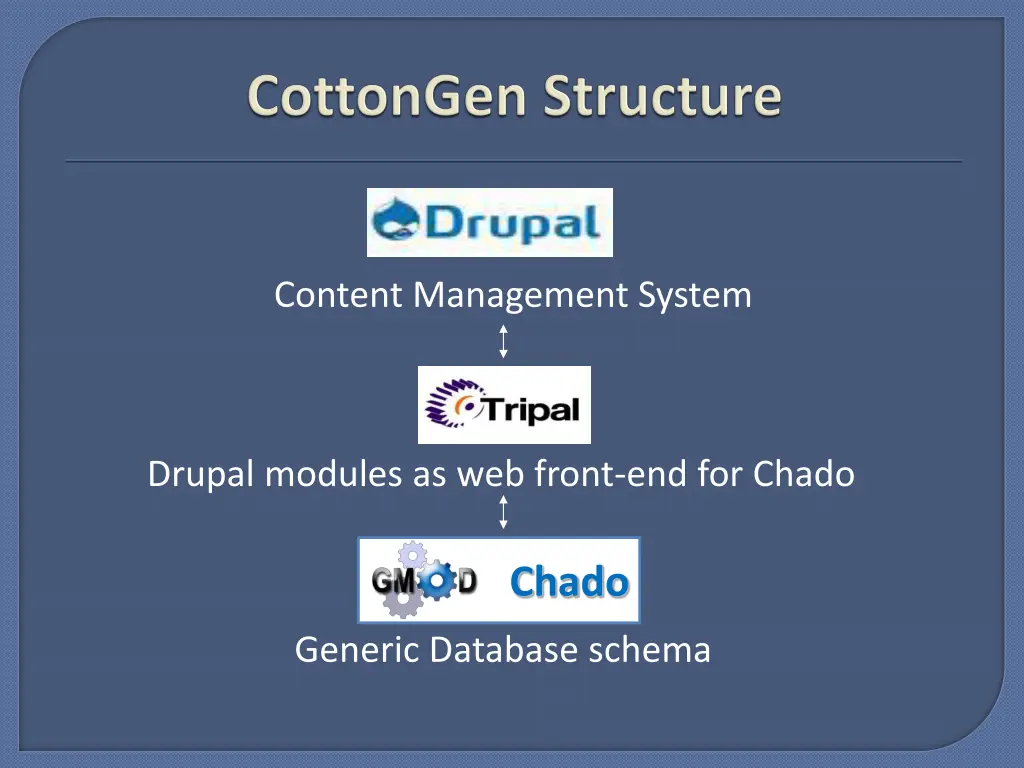 content management system