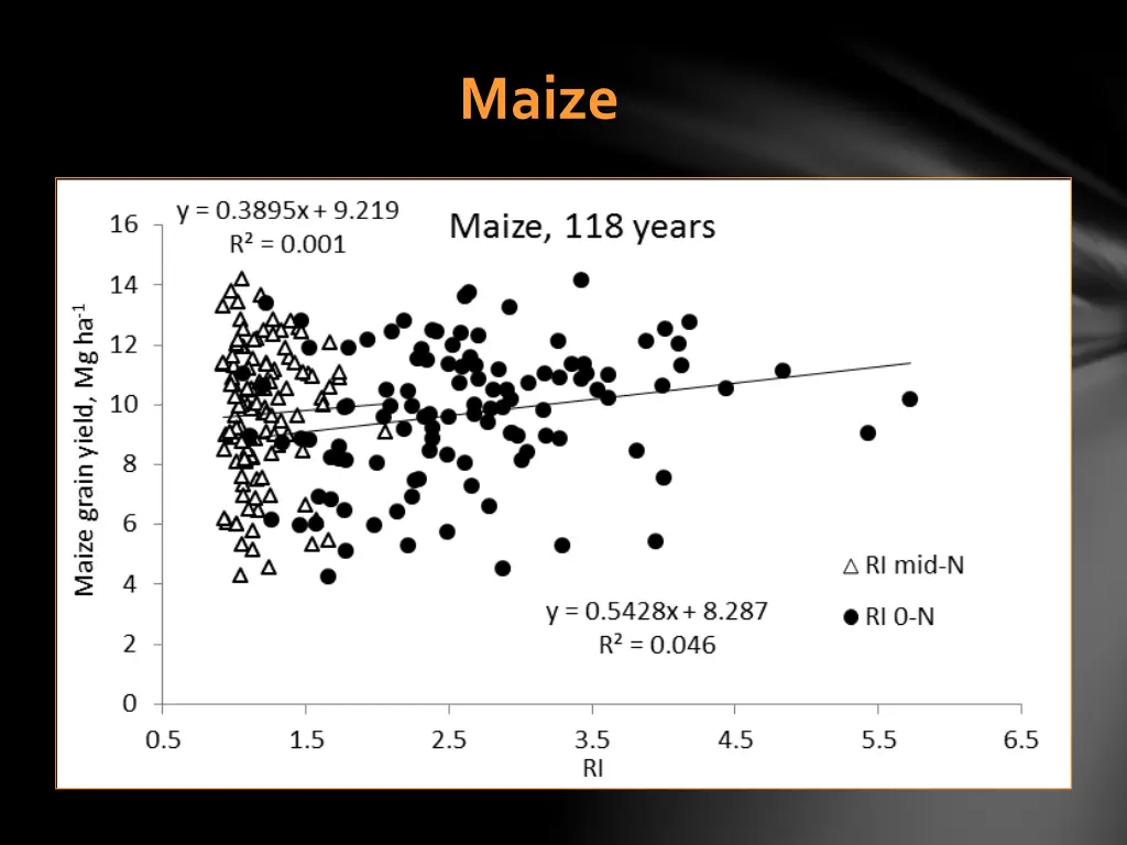maize