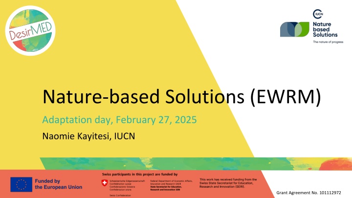 nature based solutions ewrm
