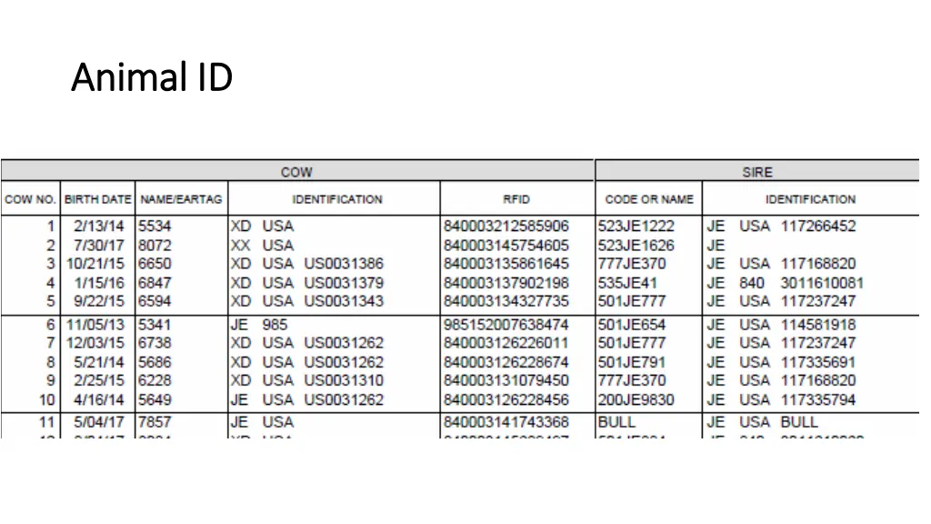 animal id animal id 8