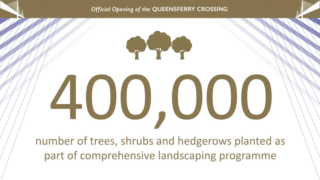 number of trees shrubs and hedgerows planted