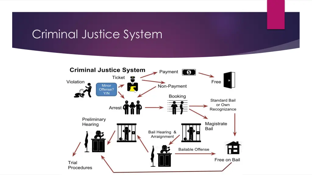 criminal justice system