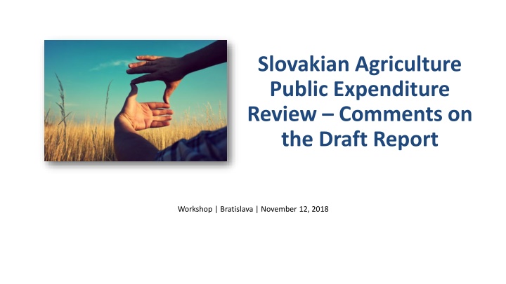slovakian agriculture public expenditure review