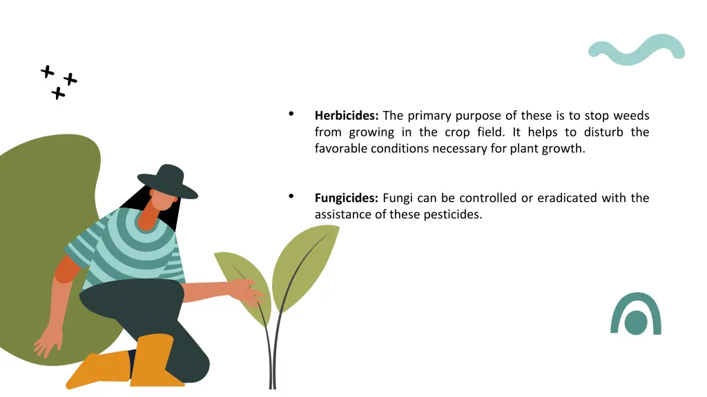 slide3