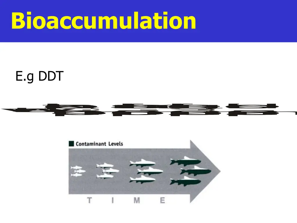 bioaccumulation