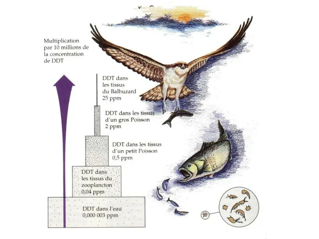 slide19