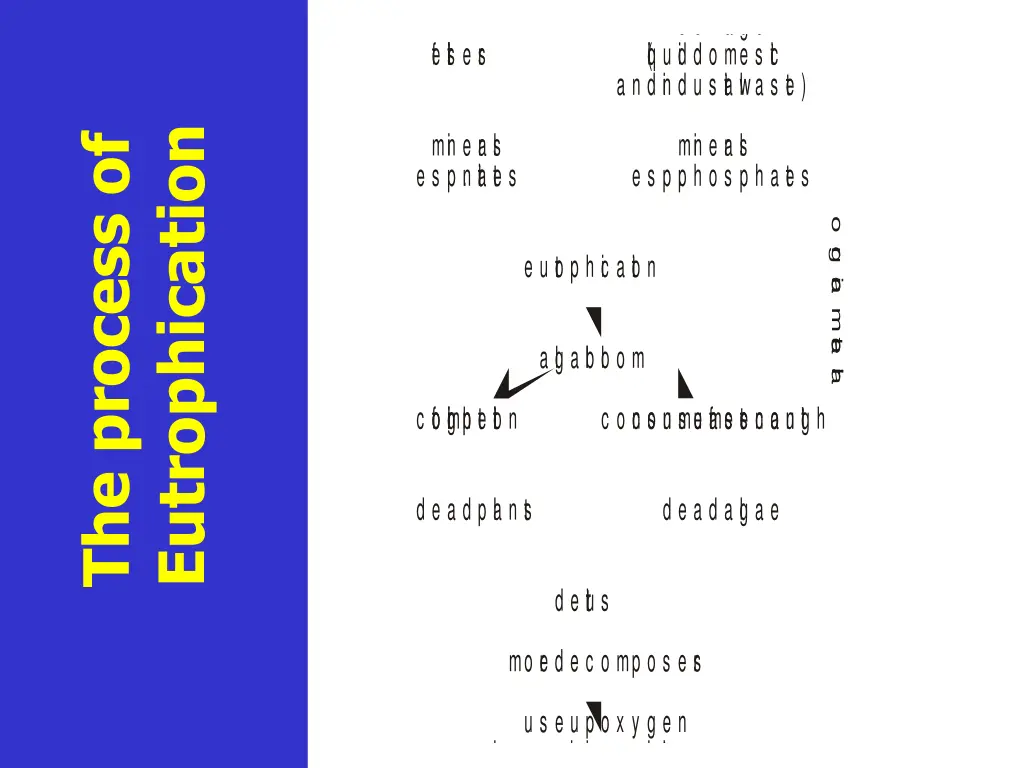 slide4