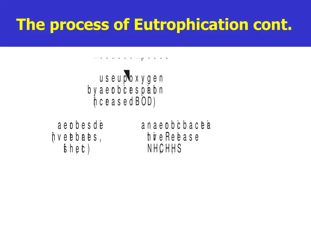 slide5