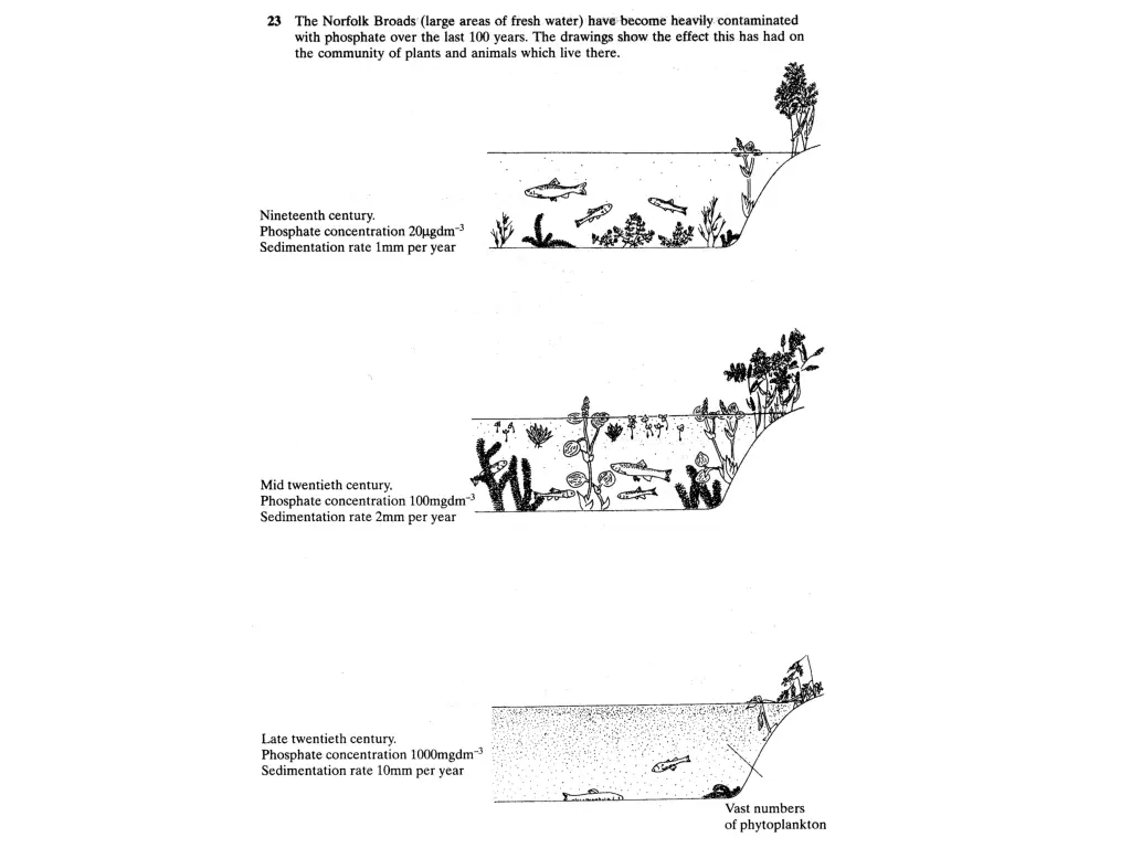 slide8