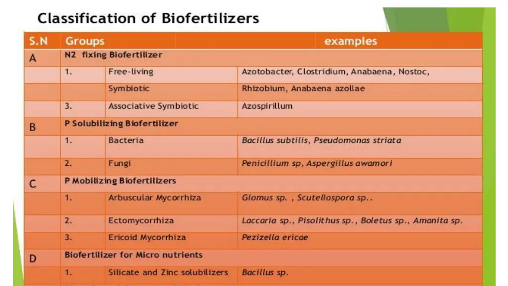 slide5