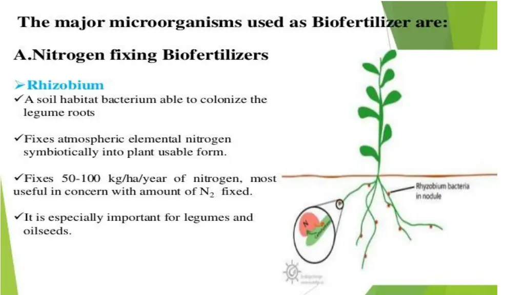 slide6