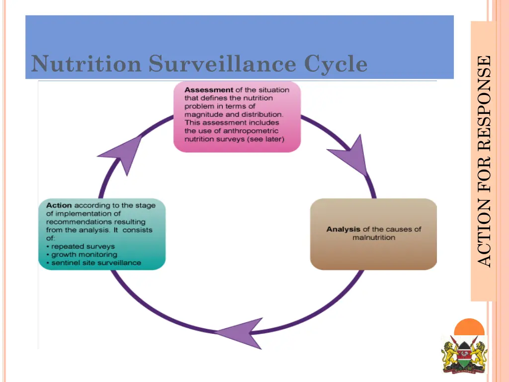 nutrition surveillance cycle