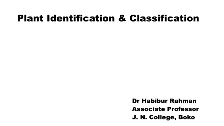 plant identification classification