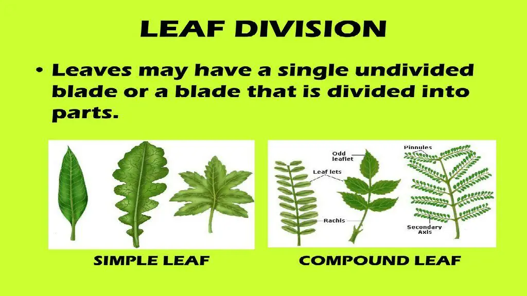 slide10