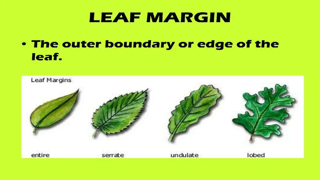 slide13