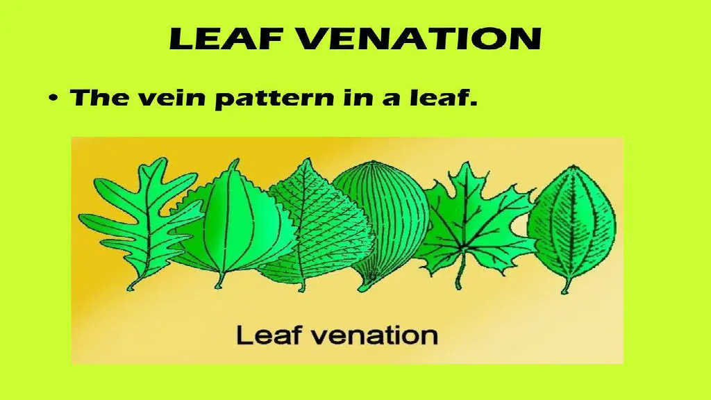 slide14