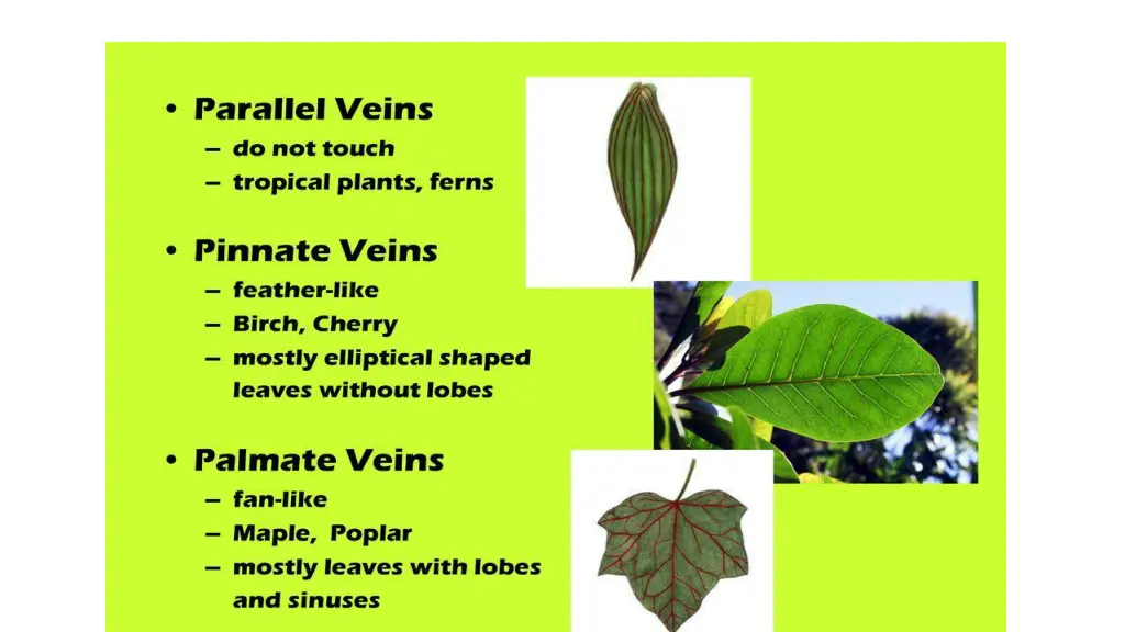 slide15