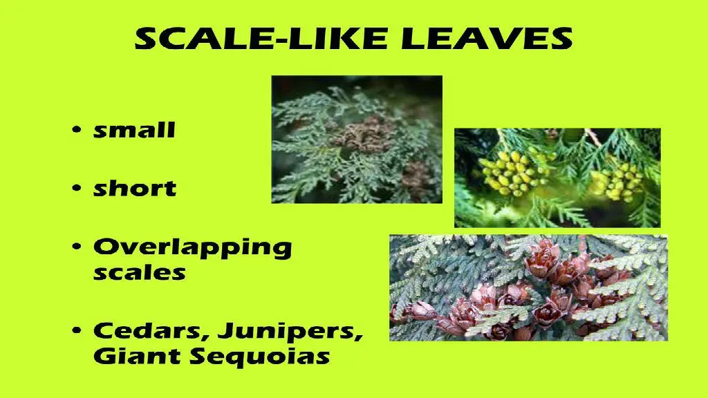 slide18