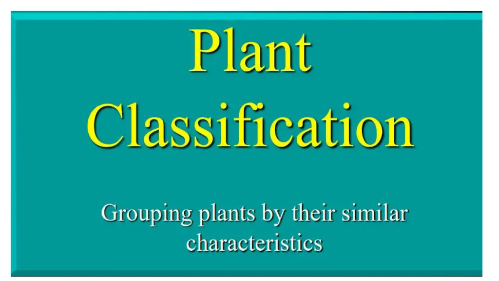 slide19