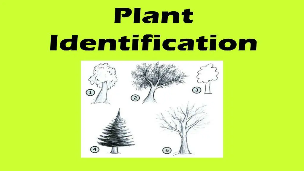 slide2