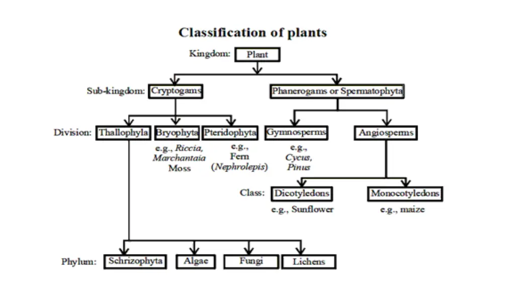 slide22
