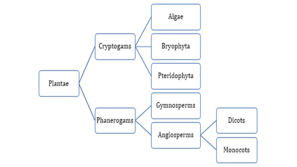 slide27