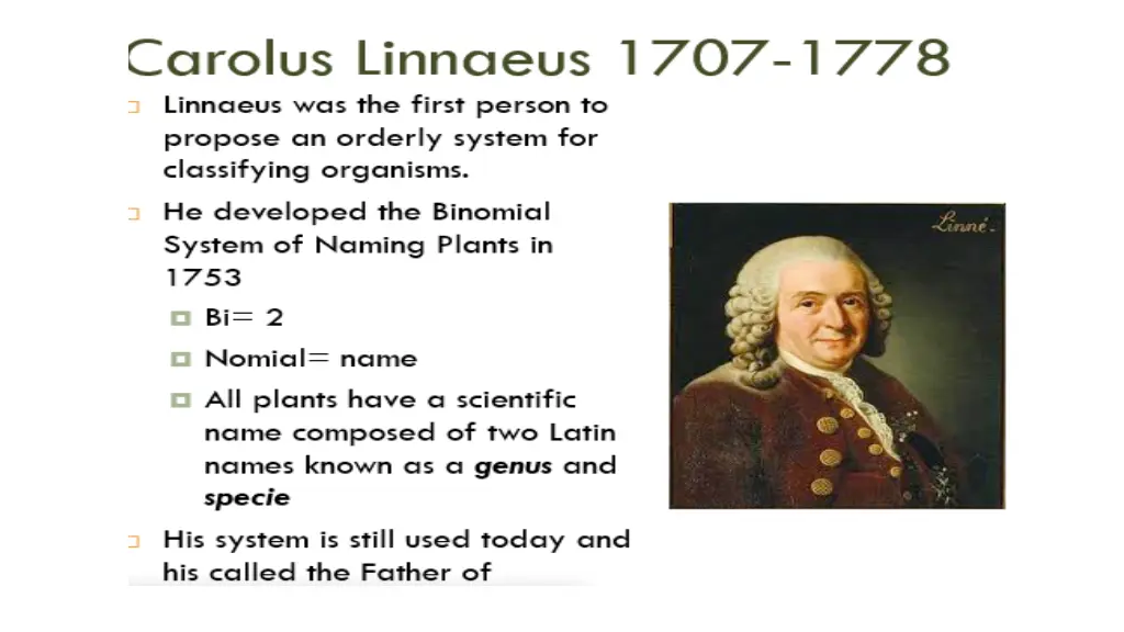 slide29