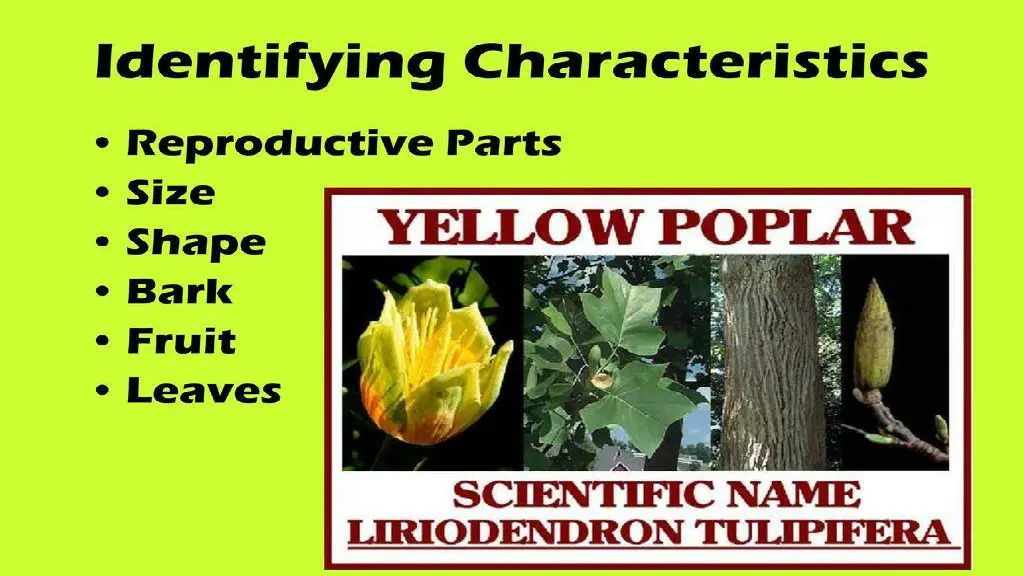 slide5