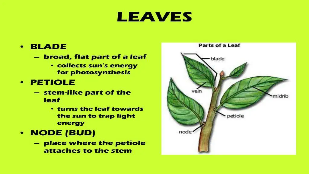 slide6