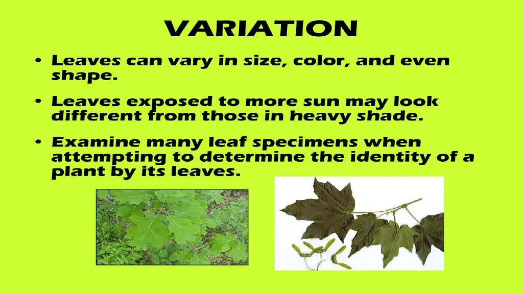 slide7