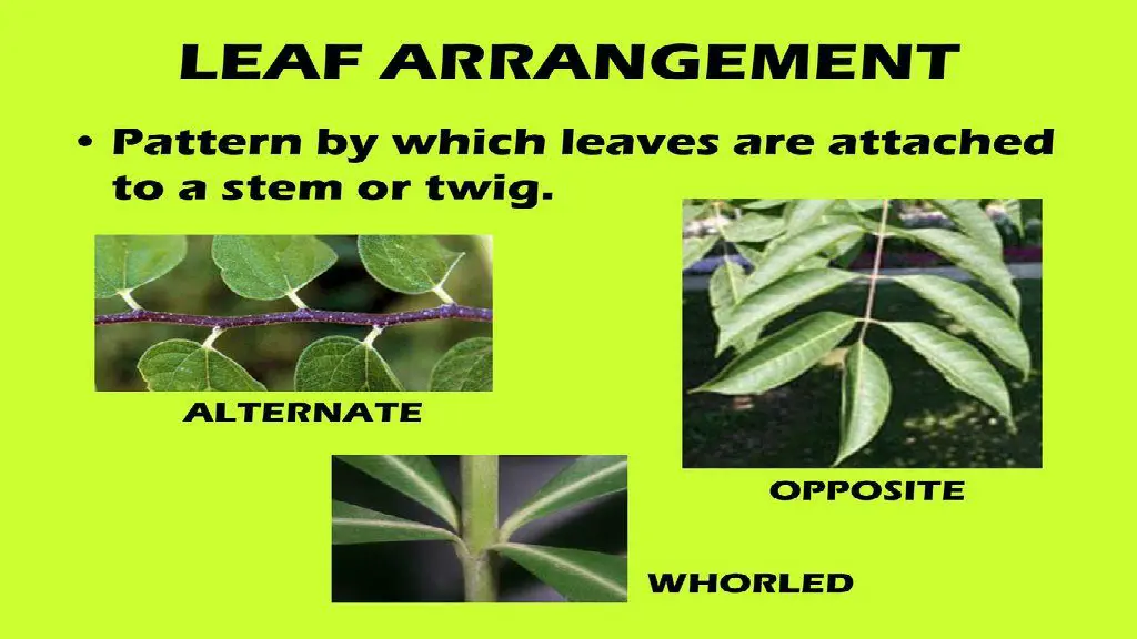 slide9