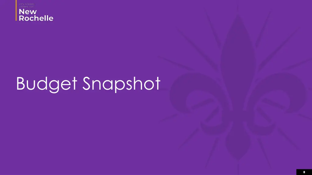budget snapshot