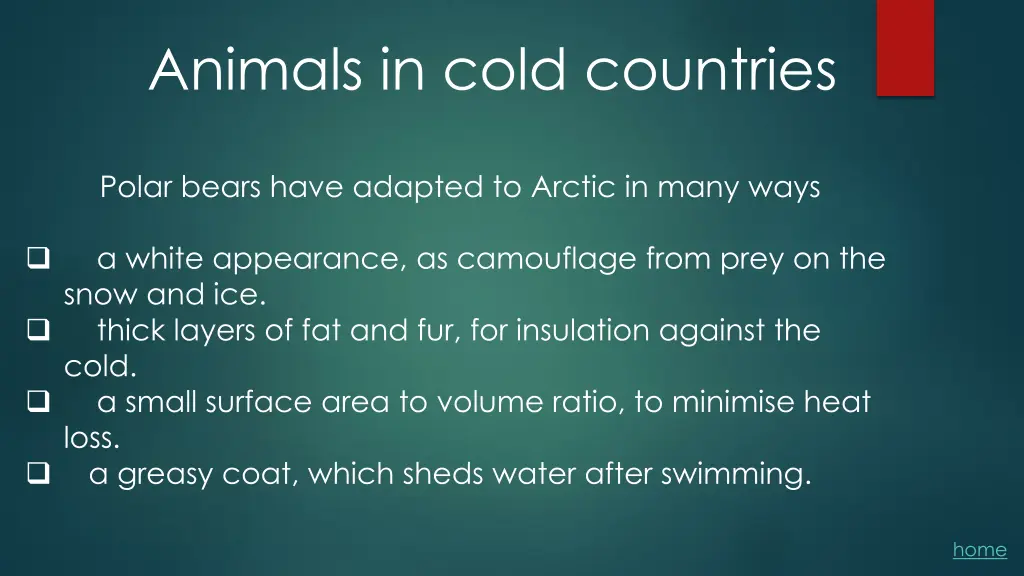 animals in cold countries