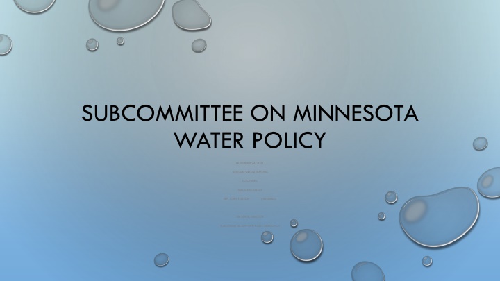 subcommittee on minnesota water policy