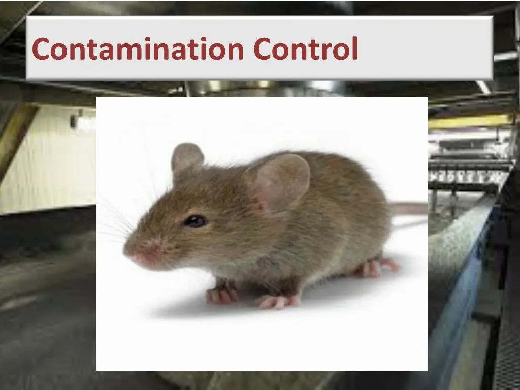 contamination control