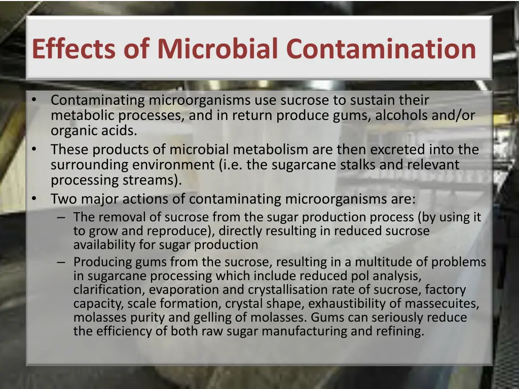 effects of microbial contamination