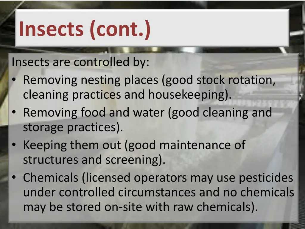 insects cont